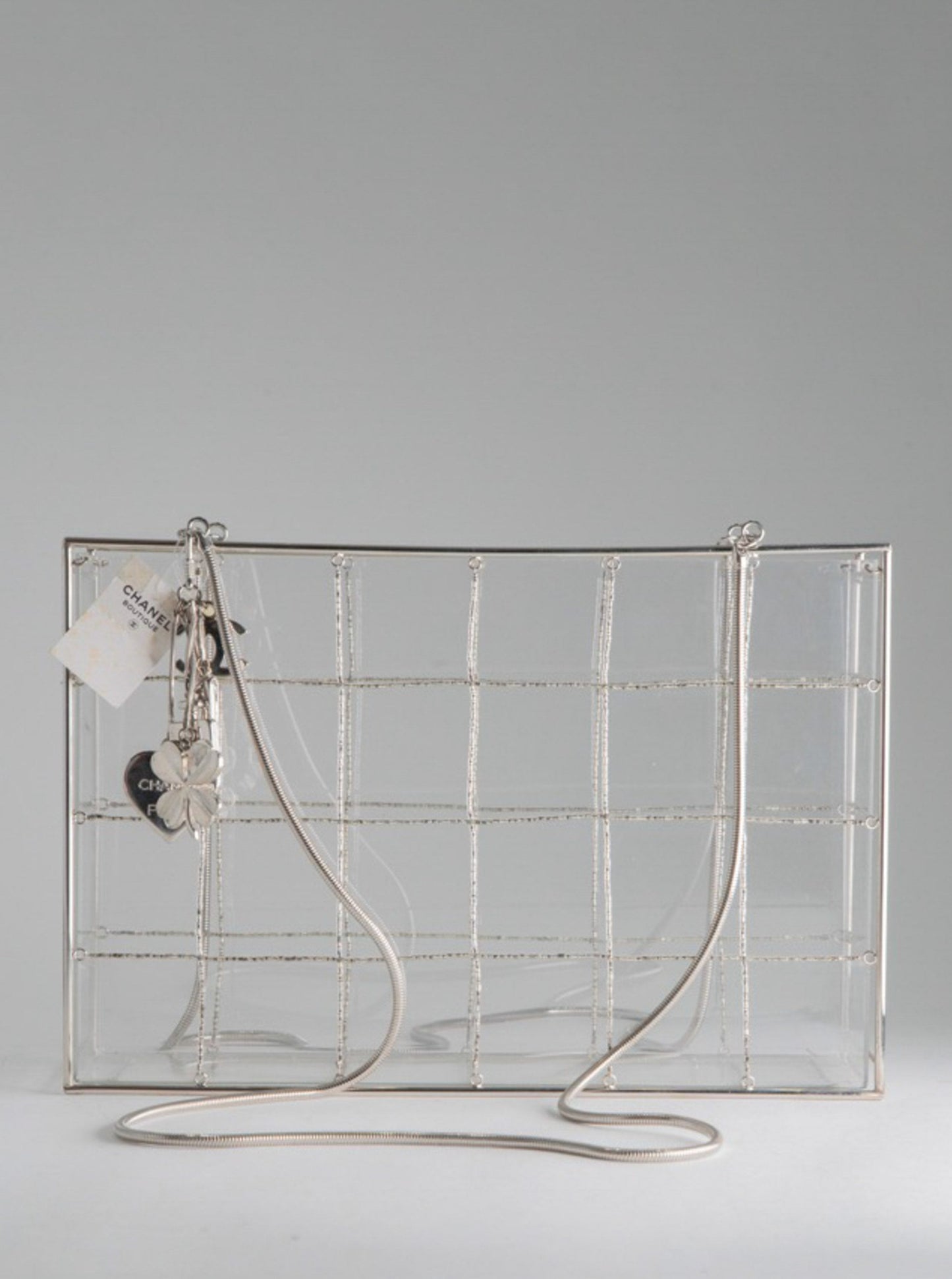 Chanel Snake Chain Clear Box Bag