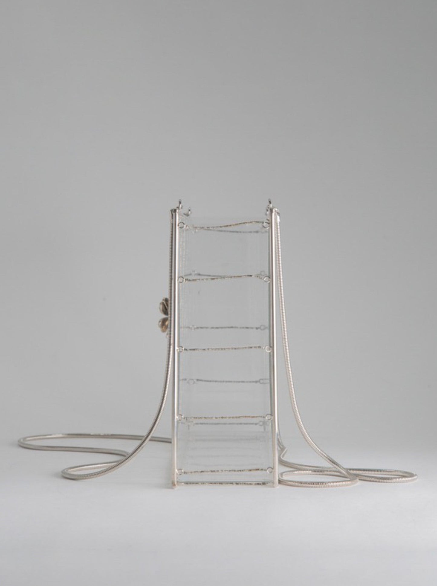 Chanel Snake Chain Clear Box Bag