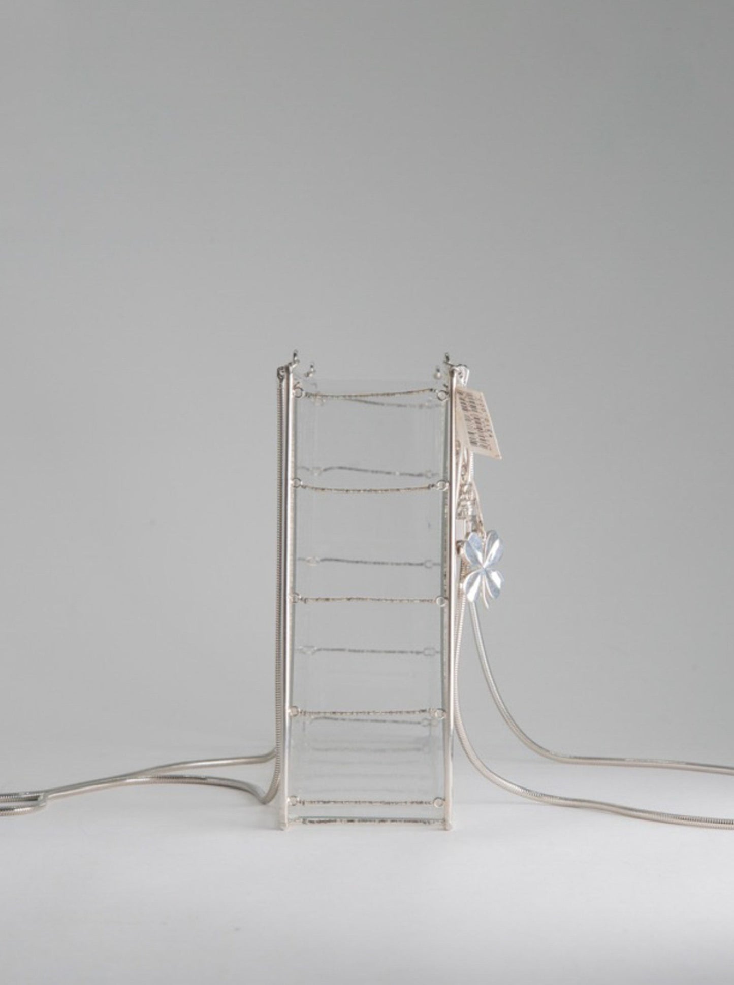 Chanel Snake Chain Clear Box Bag
