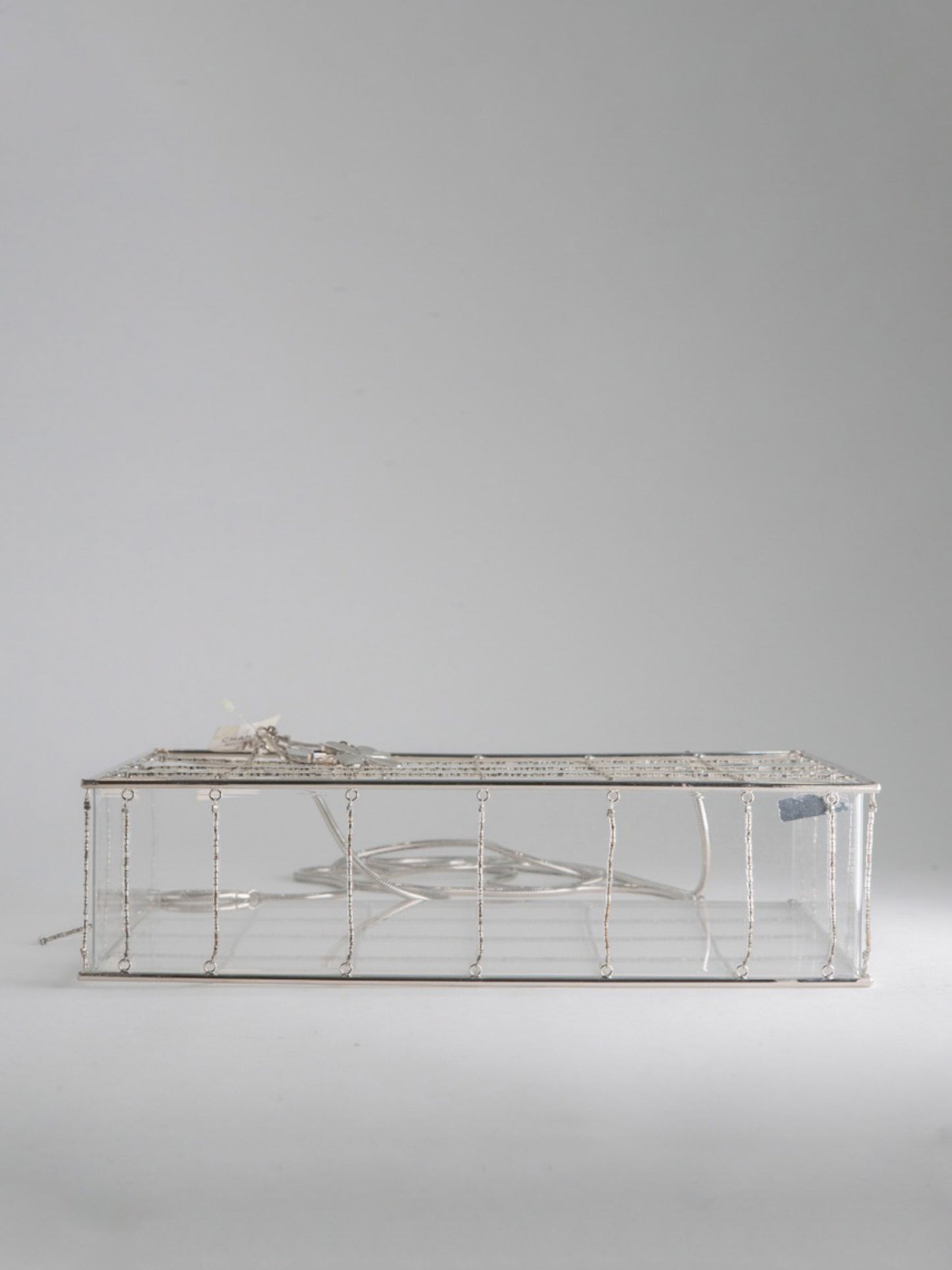 Chanel Snake Chain Clear Box Bag