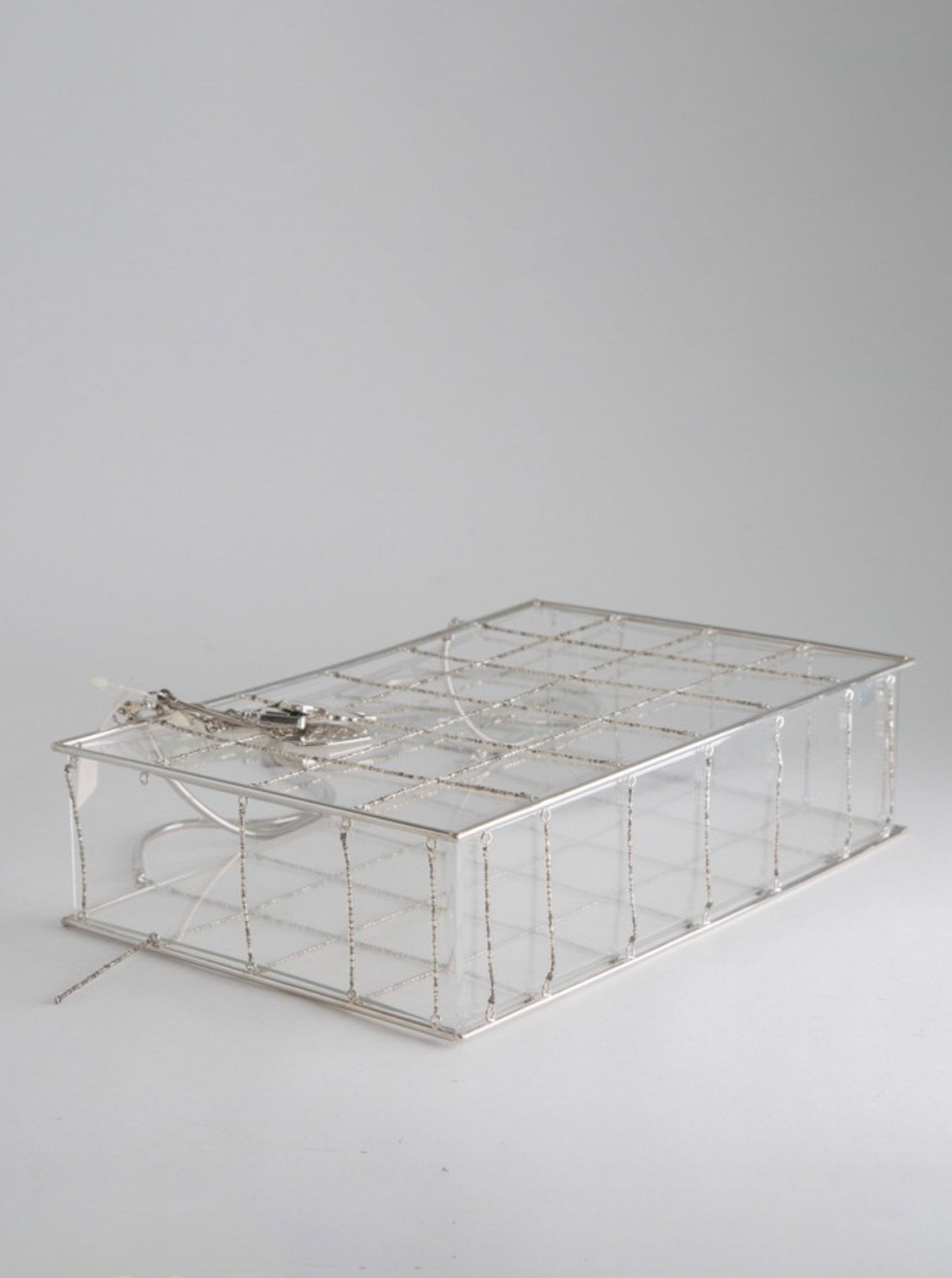 Chanel Snake Chain Clear Box Bag