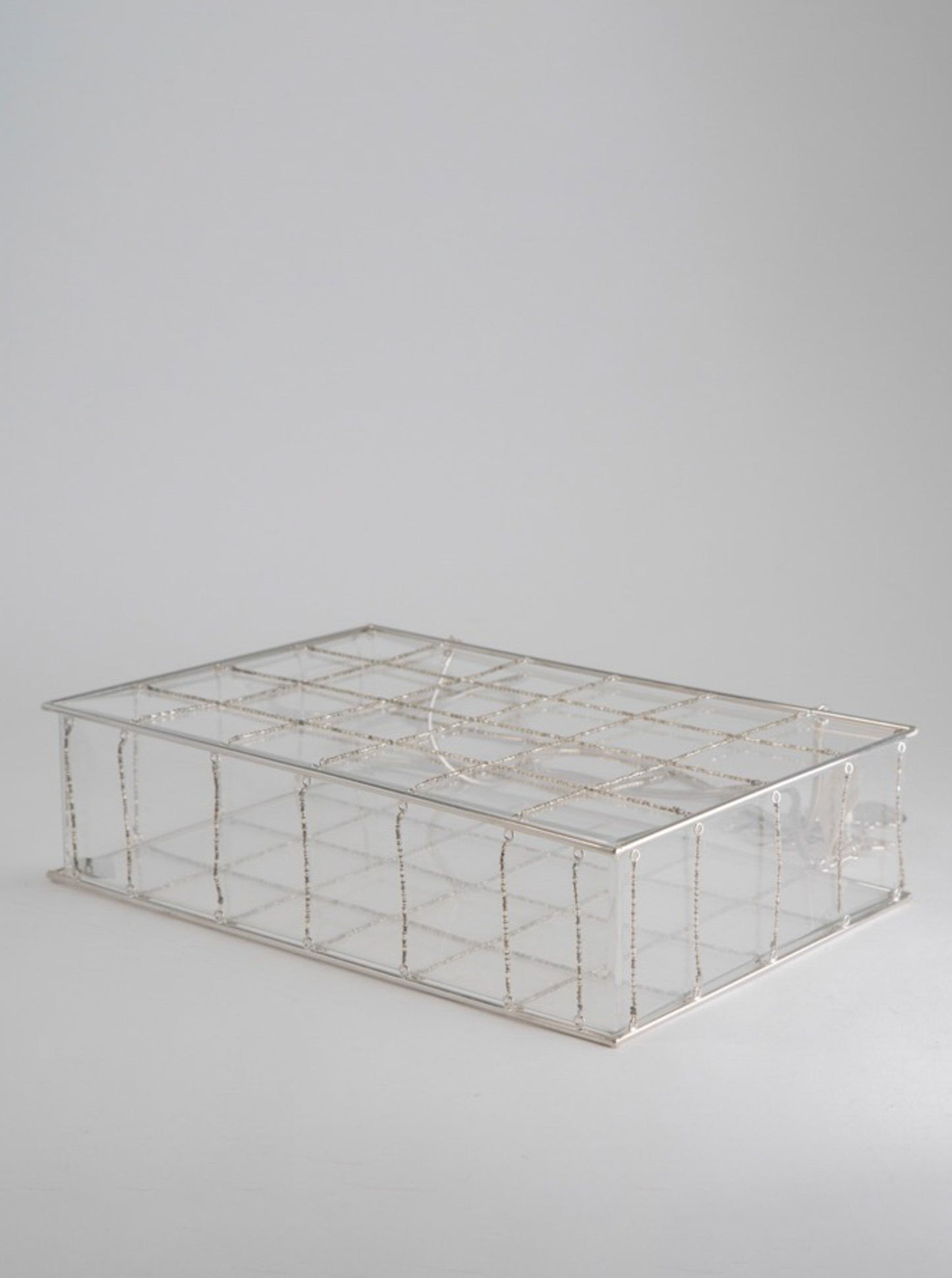 Chanel Snake Chain Clear Box Bag