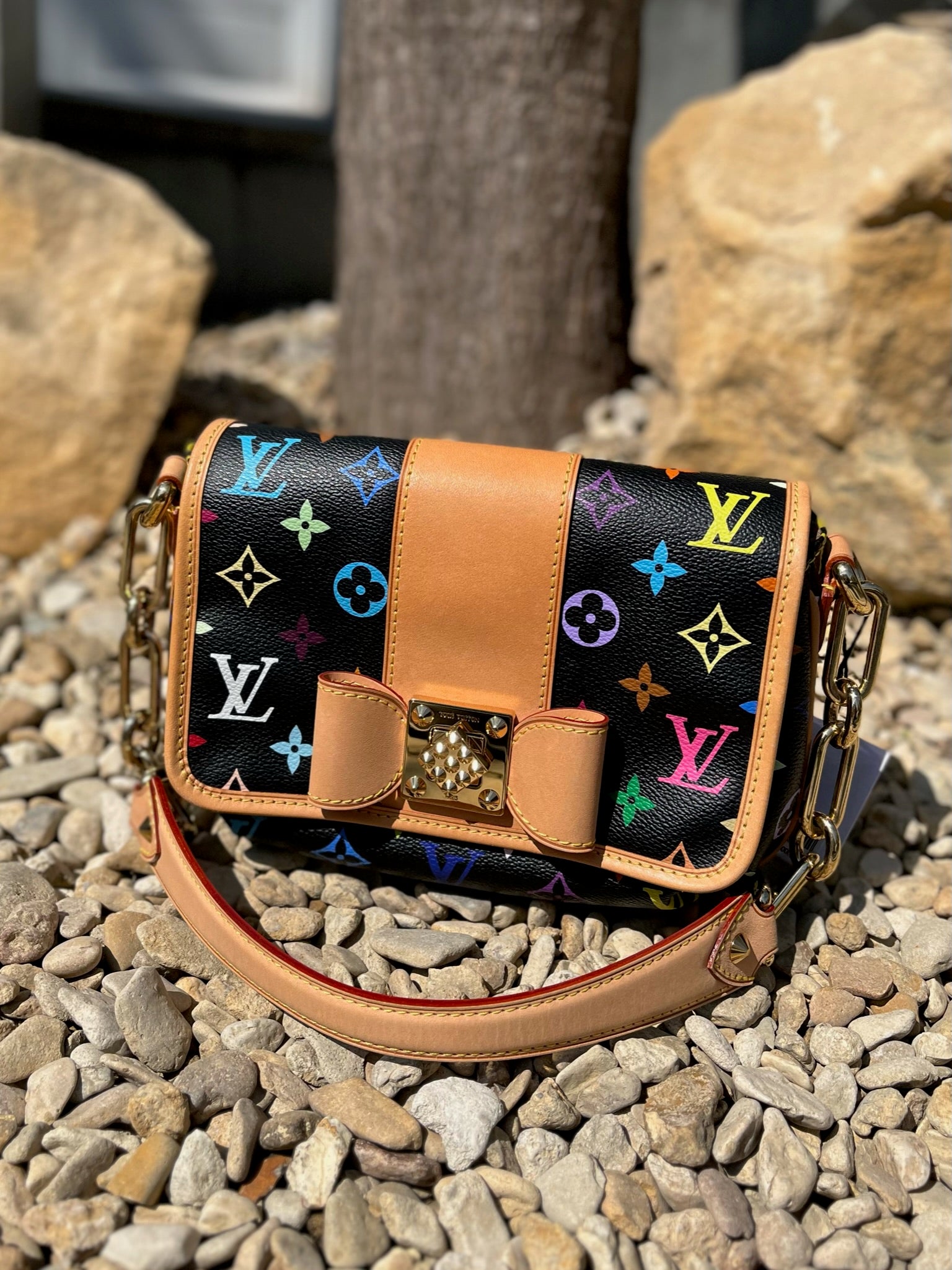 Does anyone know anything about this Louis Vuitton X Takashi