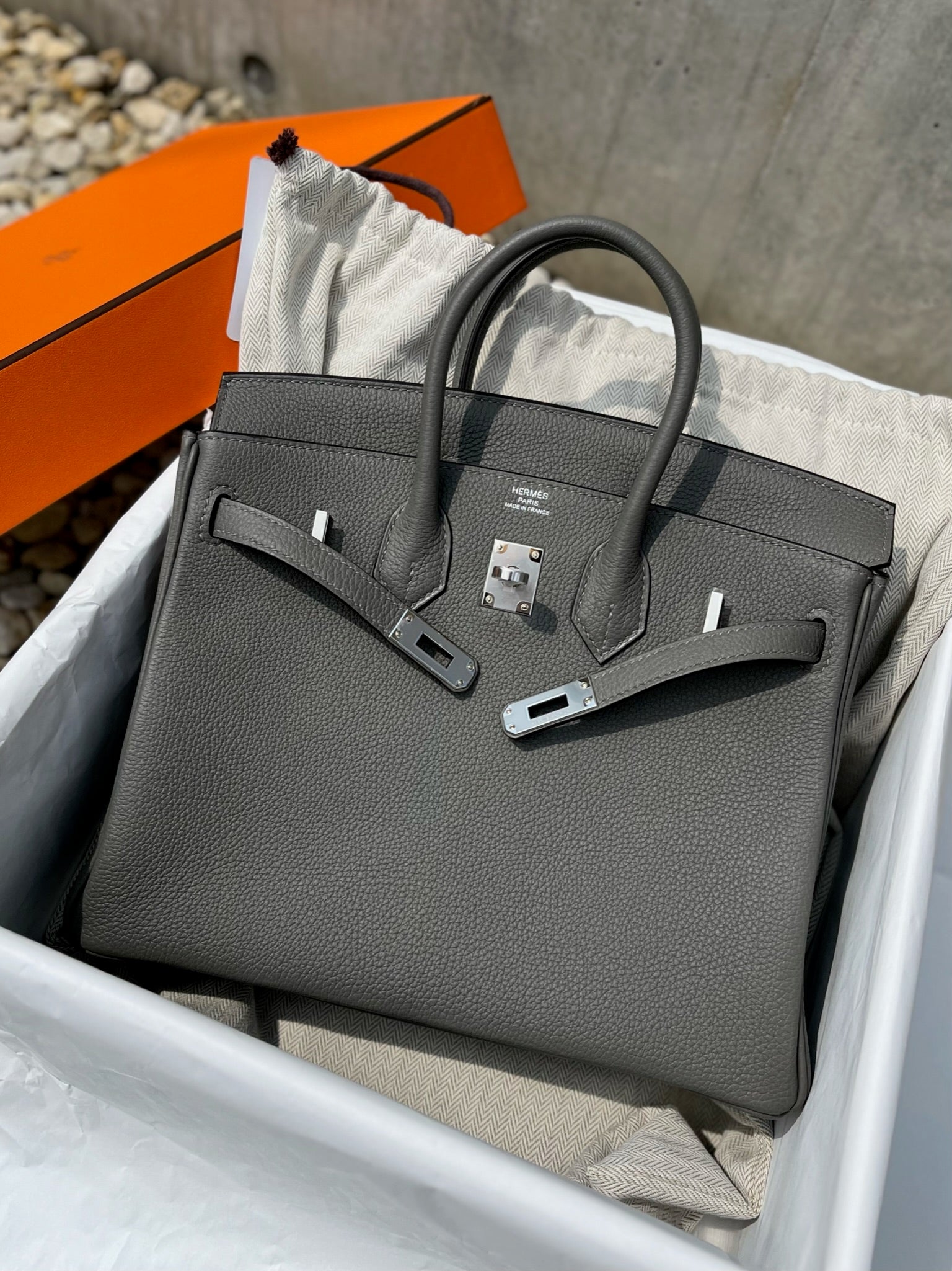 Hermes New Birkin 25 Handbag B: 2023 Silver hardware Togo leather