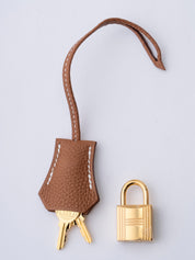 Hermès Kelly 25 Handbag, Interior Stitched, G Stamp: 2026, Togo Gold 37, Gold Hardware, New