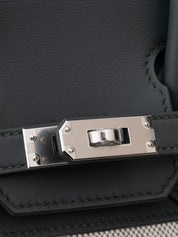 Hermès Birkin 25 Handbag K Stamp: 2025 Swift x Toile Verger Manguier Q0 Silver Hardware Brand New