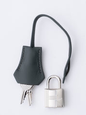 Hermès Birkin 25 Handbag K Stamp: 2025 Swift x Toile Verger Manguier Q0 Silver Hardware Brand New