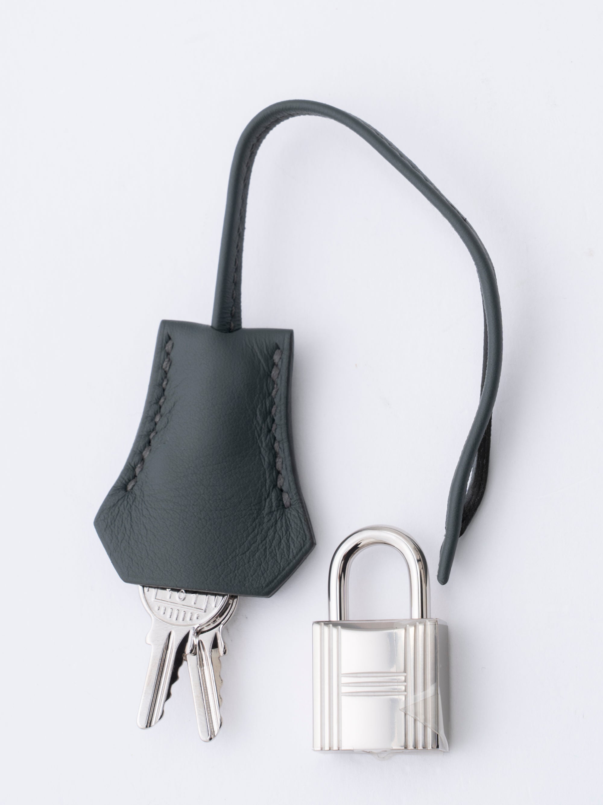 Hermès Birkin 25 Handbag K Stamp: 2025 Swift x Toile Verger Manguier Q0 Silver Hardware Brand New